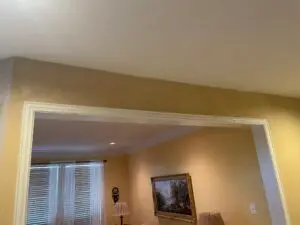 Wood Rot Repair in Double Oak
